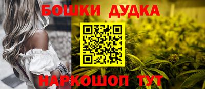 индика Тулун