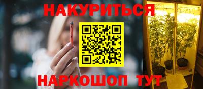 индика Тулун