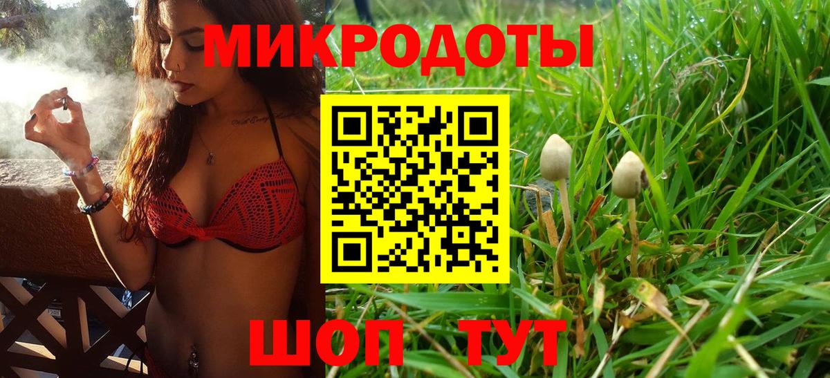 купить закладку  Псилоцибиновые грибы Psilocybe  Галлюциногенные грибы прущие грибы  Вход с VPN  Богородицк 